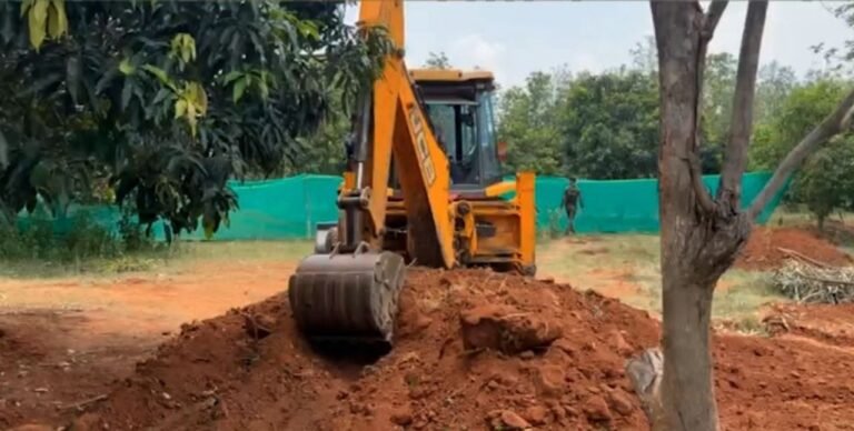Buried elephant carcass triggers action; forest officer suspended, ranger served show-cause notice